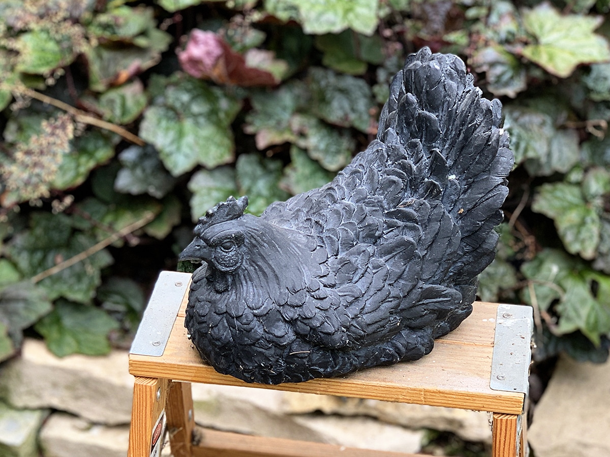 Black resin chicken which will be repurposed into a faux cement garden statue.