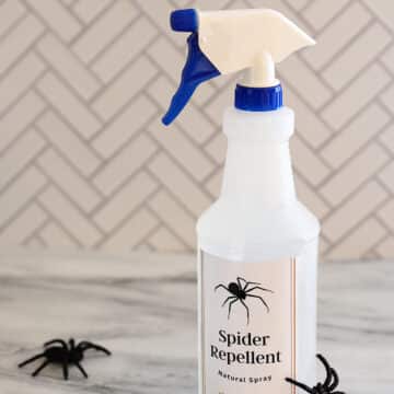 Homemade natural spider repellent spray.