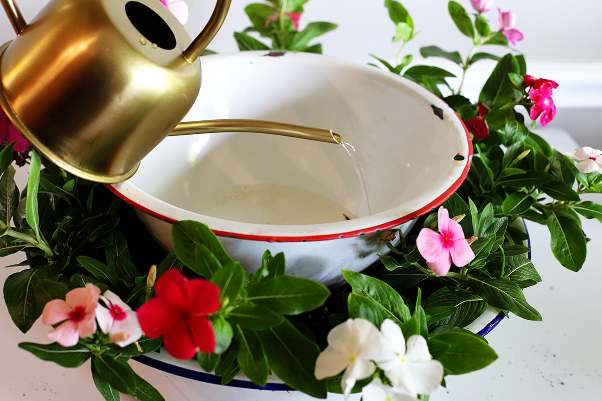 Adding water to the solar fountain with a pretty brass watering can.