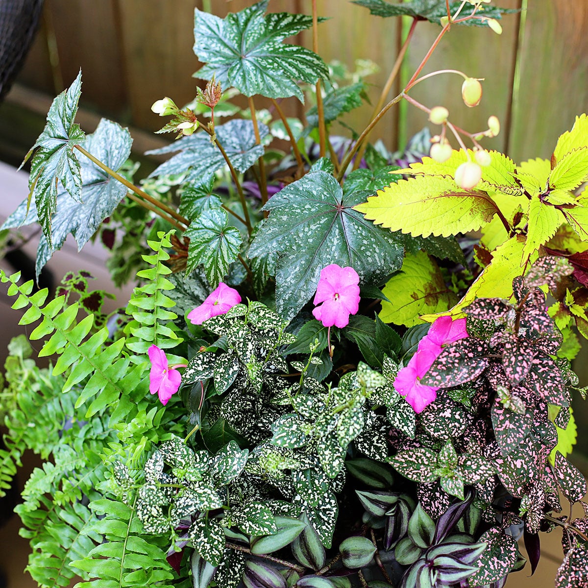 Gorgeous summer planter for a shaded area.