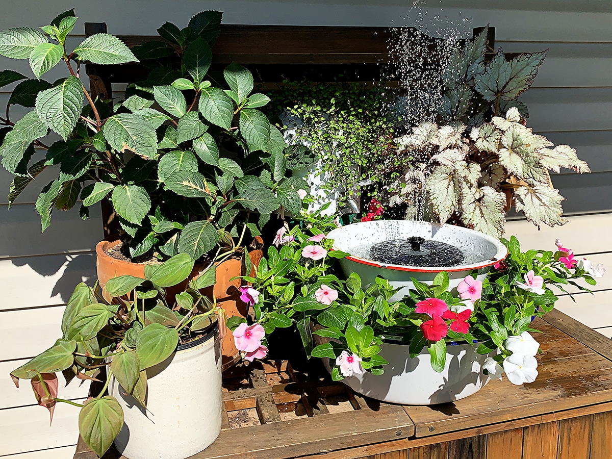 DIY solar water fountain sitting on the potting bench surrounded by colorful foliage plants.
