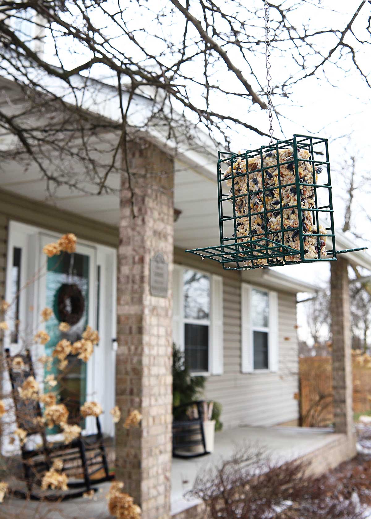how to make suet cakes for birds