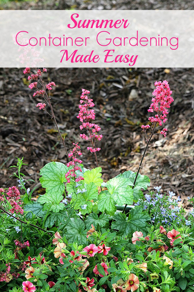 This how to guide for container gardening includes plant selection, instructions to prepare your container and a tip to make potting soil go farther.