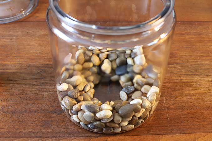 Drainage stones for terrarium